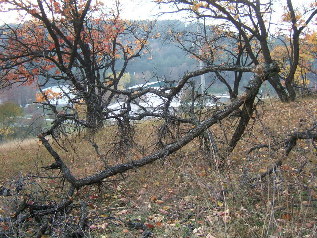 ����� ��������� ����� ������� ���������� �� PhotoGeek.ru #������ ��� �������