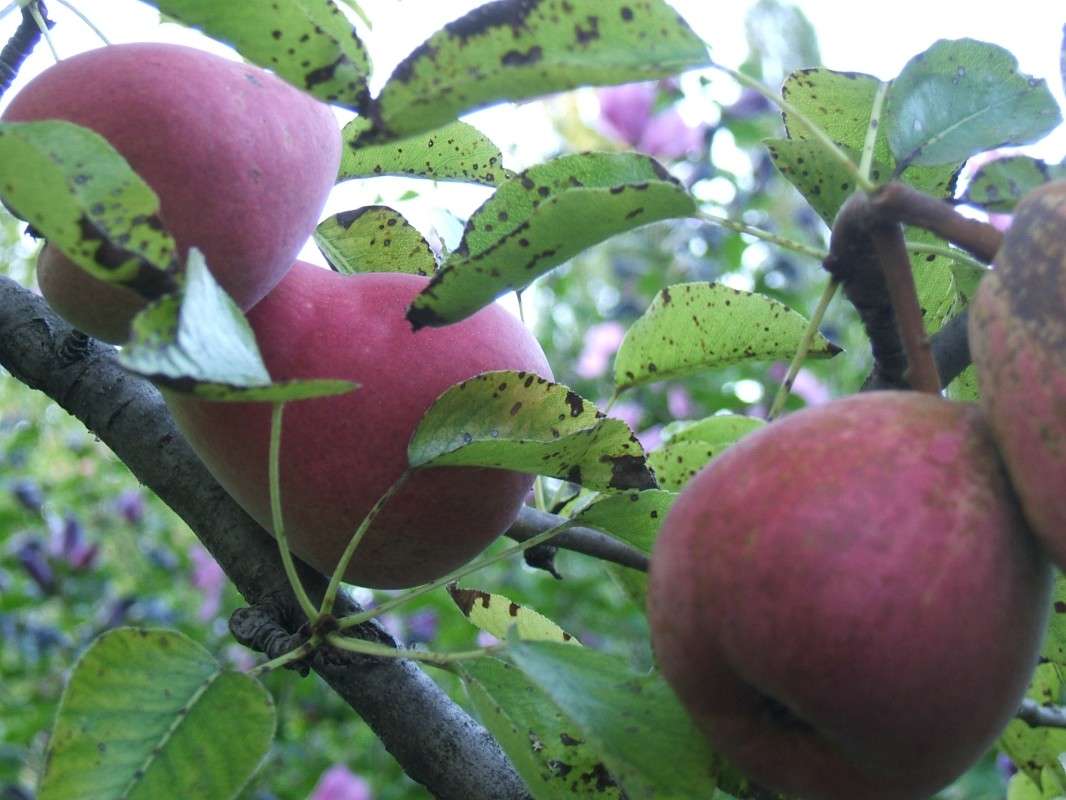 ����� ������������� ���� ����� ������� ���������� �� PhotoGeek.ru #������ ��� �������