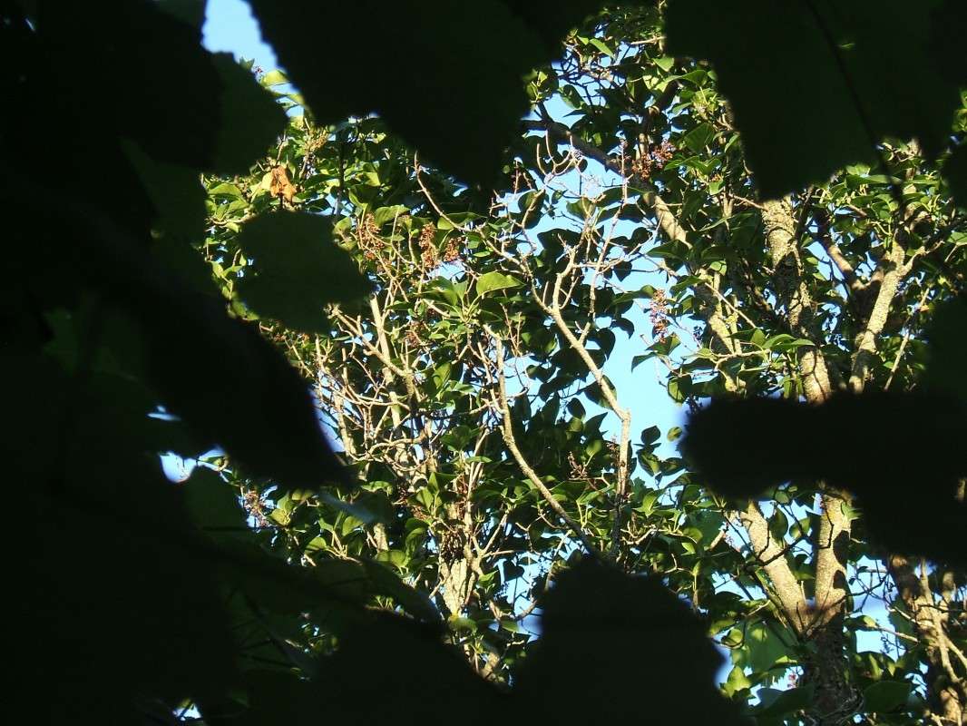 ��� ������ ����� ����� ������� ���������� �� PhotoGeek.ru #������ ��� �������