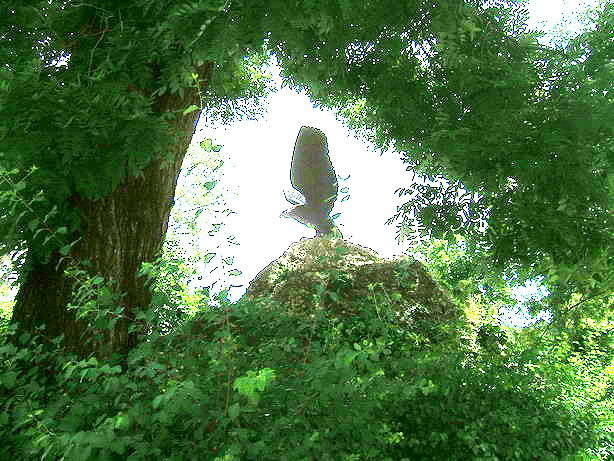 ������ ��������� ����� ������� ���������� �� PhotoGeek.ru #����� #�����������