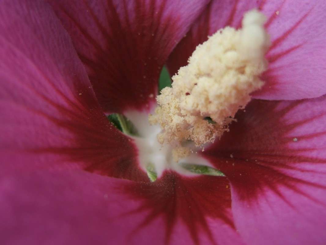 ���� ������� ����� ����� ������� ���������� �� PhotoGeek.ru #������ ��� ������� #����� ��������������