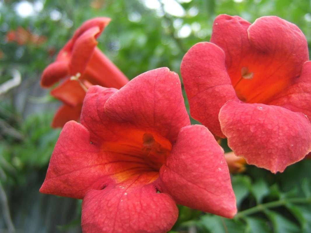 ������� ������ ������������ ����� ������ ����� ������� ���������� �� PhotoGeek.ru