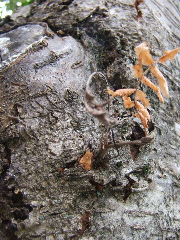 ������ ������ ����� ������� ���������� �� PhotoGeek.ru #������ ��� ������� #����� ��������������