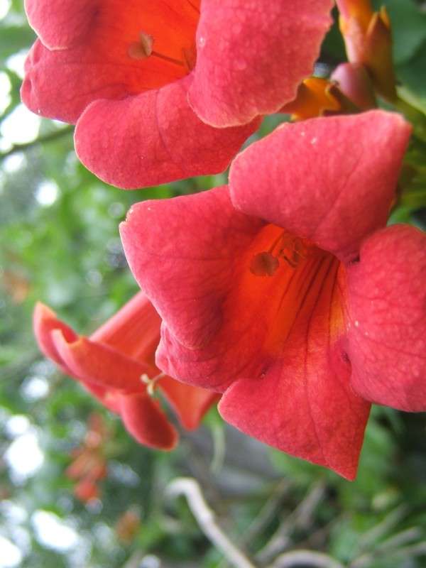 �������- ������  ����� ����� ���� ����� ������� ���������� �� PhotoGeek.ru #����� #������ ��� ������� #����� ��������������