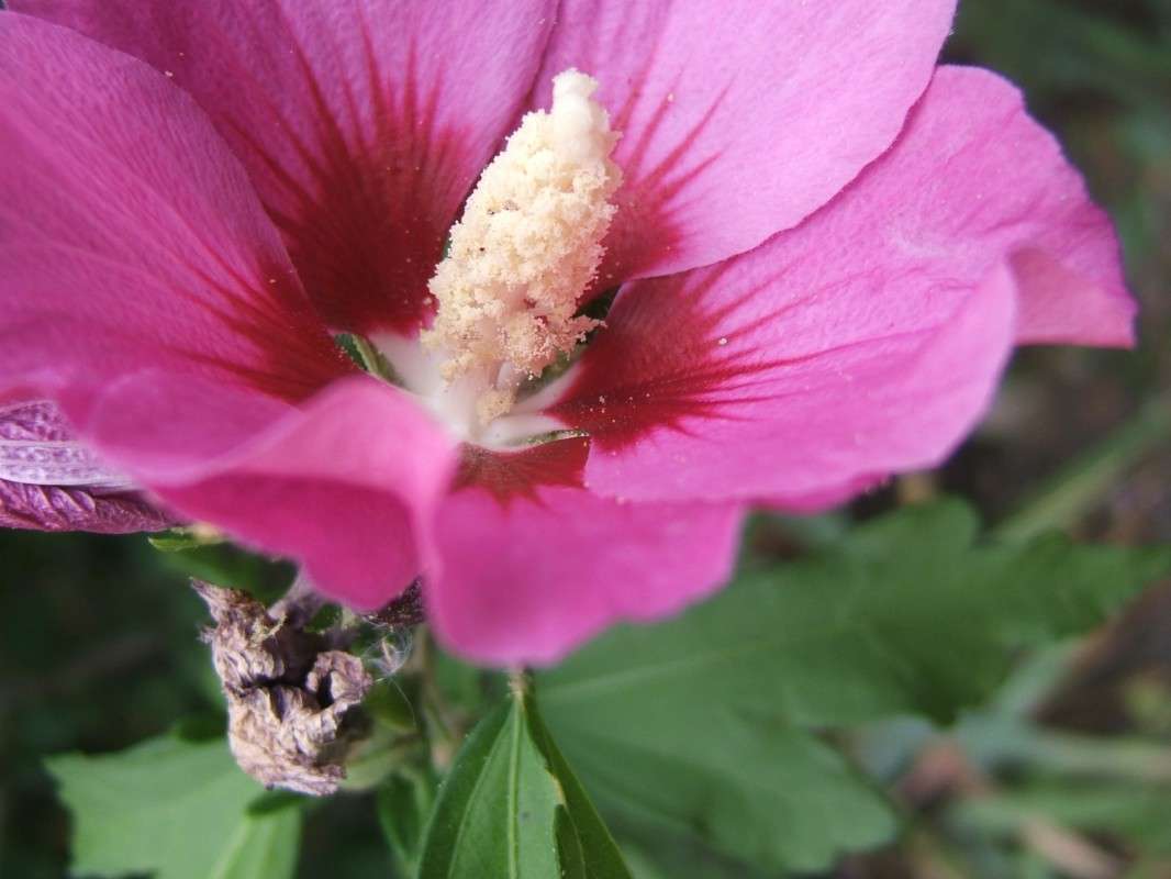 ����     ����  ������� ����� ������� ���������� �� PhotoGeek.ru