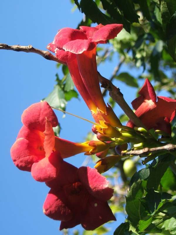 ����� ������ ( ������) �� ���� ����� ������� ���������� �� PhotoGeek.ru #������ ��� �������