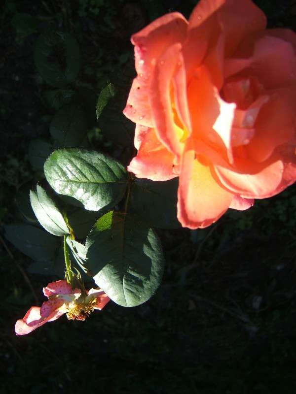 ��������  ������� ����� ������� ���������� �� PhotoGeek.ru #������ ��� �������