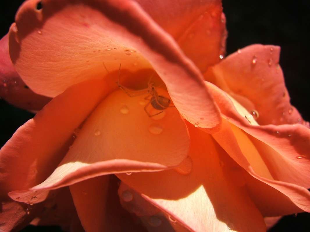 ������ �� ������� ���� ����� ������� ���������� �� PhotoGeek.ru #����� #������ ��� ������� #�������� ����������