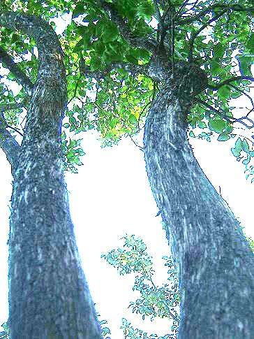 ��� ������ ����� ������� ���������� �� PhotoGeek.ru #����� #������ ��� �������