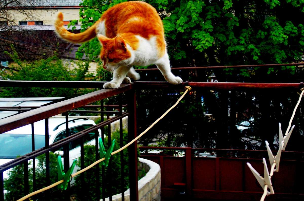 ��� ������ - ��������... ����� ������� ���������� �� PhotoGeek.ru #����� #�������� ���