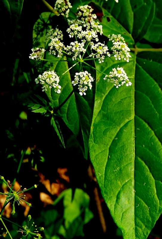 ������  �����... ����� ������� ���������� �� PhotoGeek.ru #����� #����� ��������������