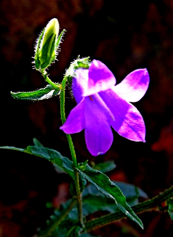 ���������  ������... ����� ������� ���������� �� PhotoGeek.ru #����� #����� ��������������