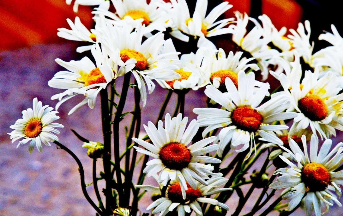 ������� ������� ����� ������� ���������� �� PhotoGeek.ru #����� #����� #����� ��������������