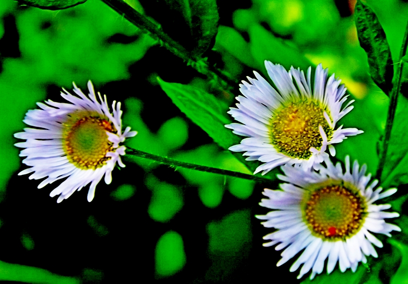 �����������... ����� ������� ���������� �� PhotoGeek.ru #����� #������ ��� ������� #����� ��������������