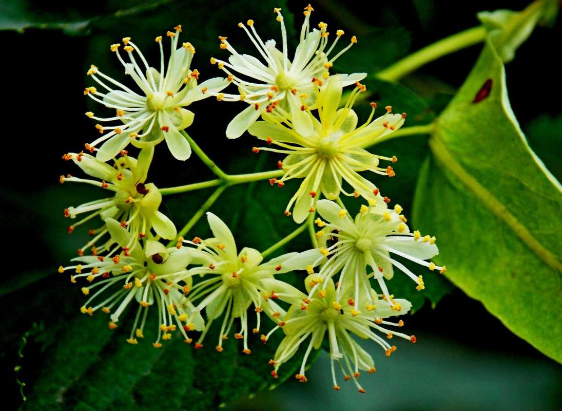 ��������  ����... ����� ������� ���������� �� PhotoGeek.ru #����� #����� ��������������