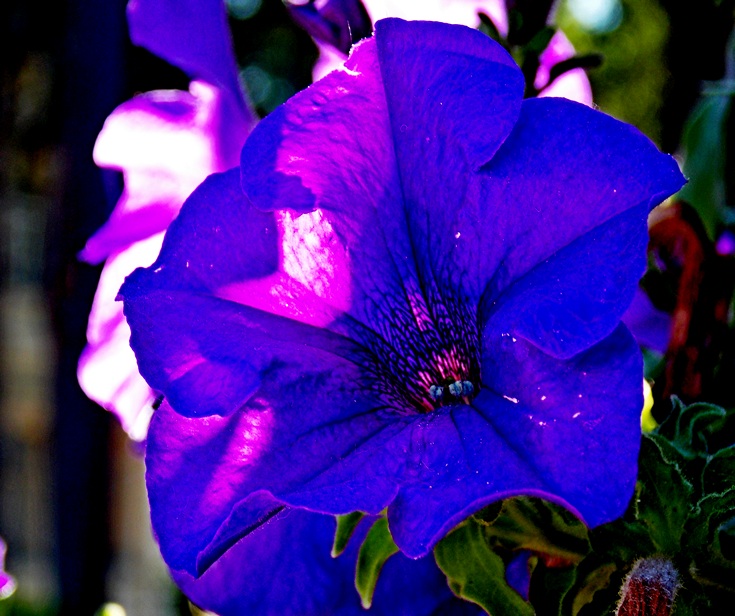 ����� �������... ����� ������� ���������� �� PhotoGeek.ru #����� #����� #����� ��������������