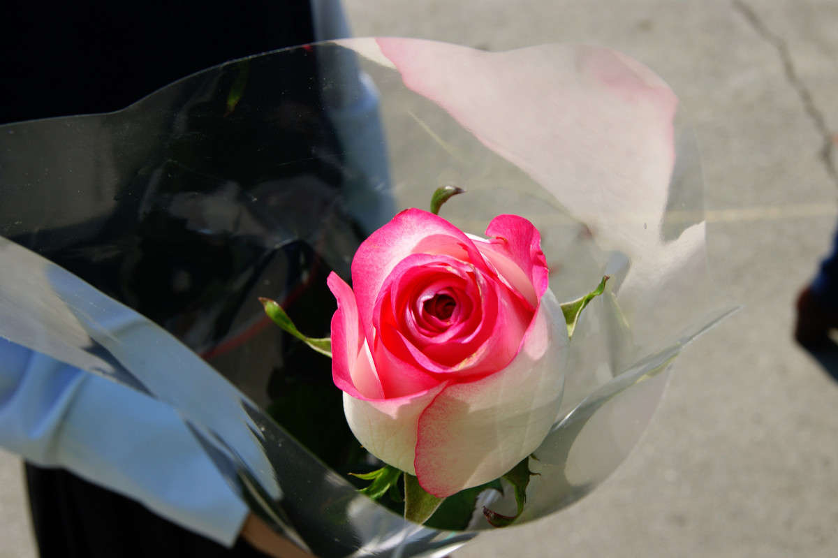 ���� ����� ����� ����� �� PhotoGeek.ru #����� #�������� ���������� #�������� #����� �������������� #���������������