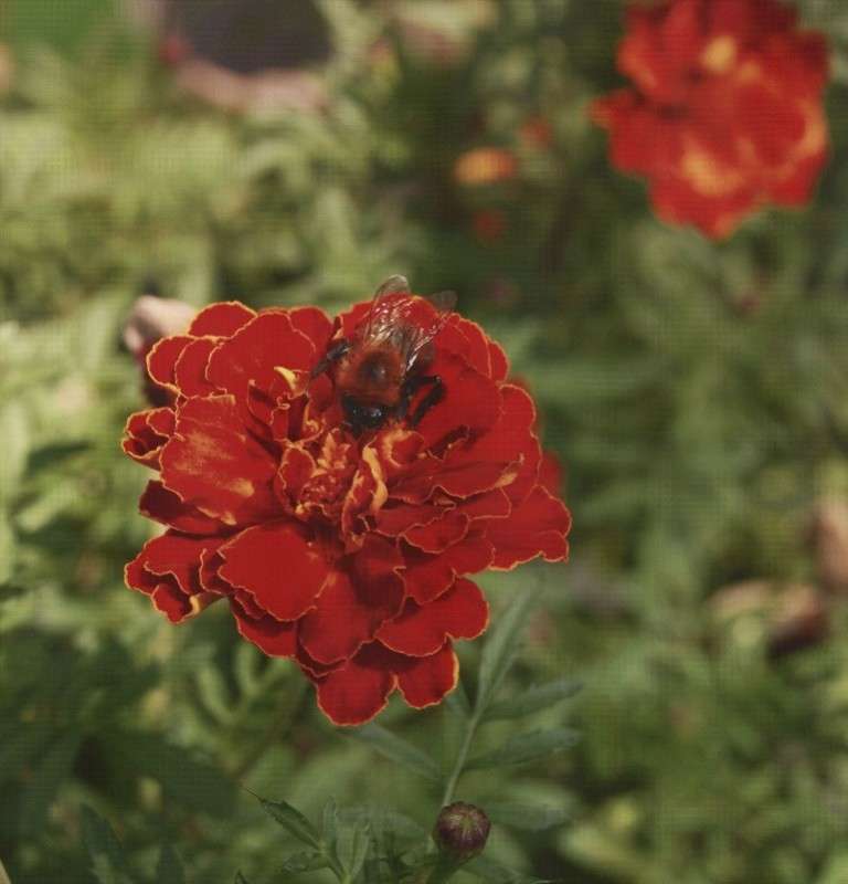 ������ ����� ����� ����� �� PhotoGeek.ru #����� #�������� ��� #�������� ���������� #��������� #���������������