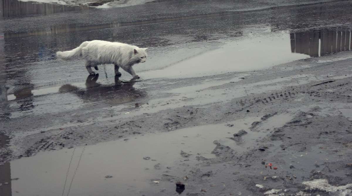 ����� ����� ����� ����� �� PhotoGeek.ru #�������� ��� #�������� ���������� #��� #���������������