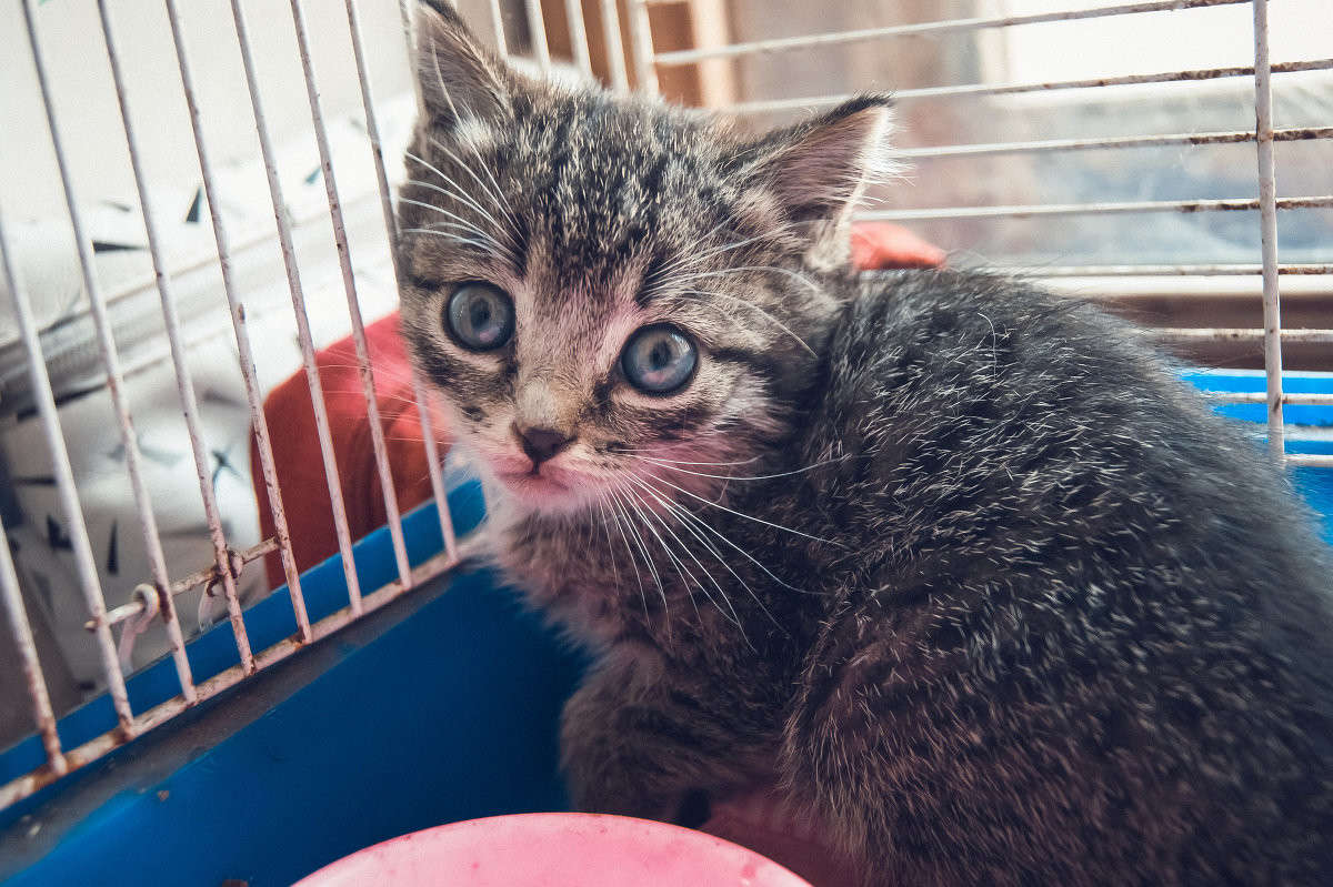 ����� ����� ����� ����� �� PhotoGeek.ru #�������� ��� #�������� ���������� #�������� ��� #���������������