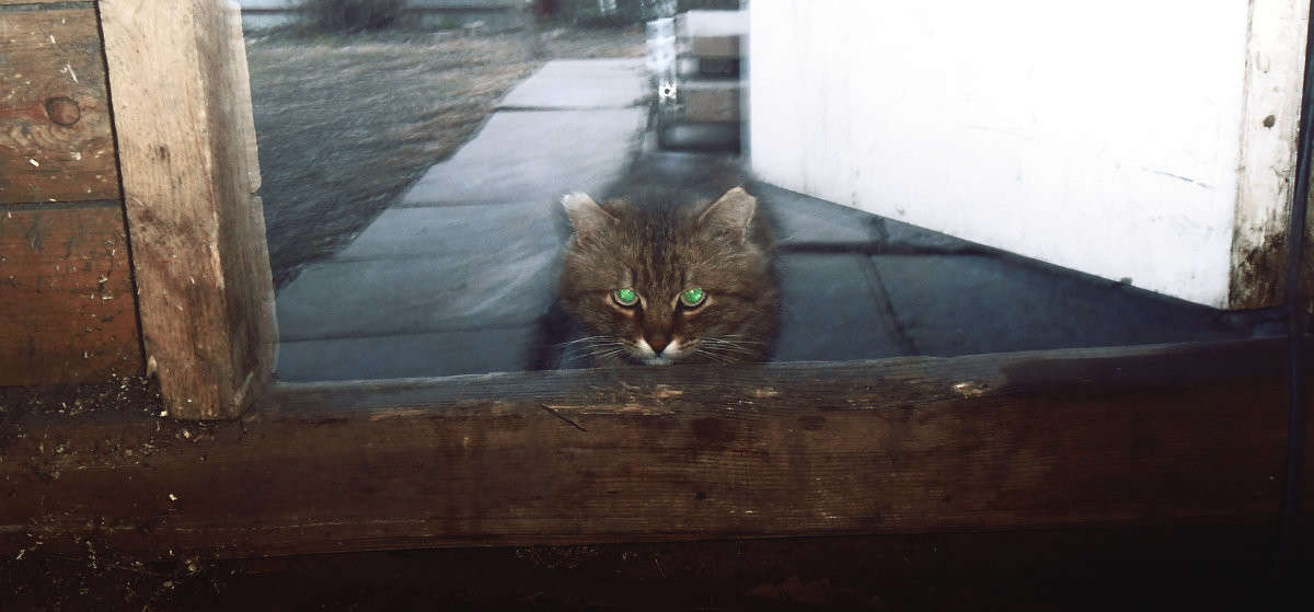 �������� ����� ����� ����� �� PhotoGeek.ru #�������� ��� #�������� ���������� #�������� ��� #���������������