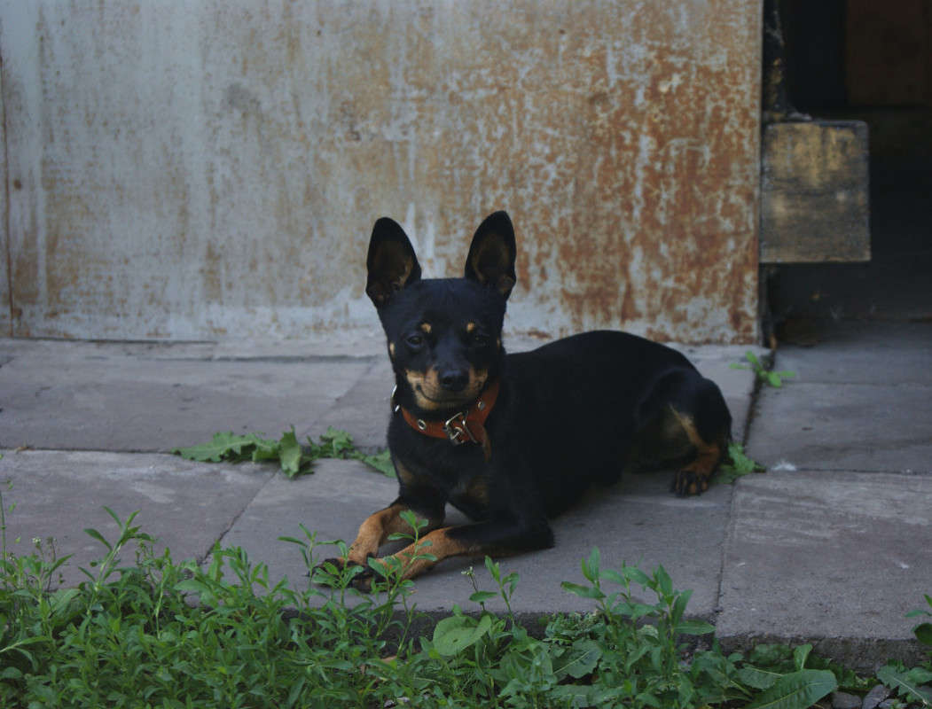 ������-������� ����� ����� ����� �� PhotoGeek.ru #�������� ��� #�������� ���������� #�������� ��� #���������������