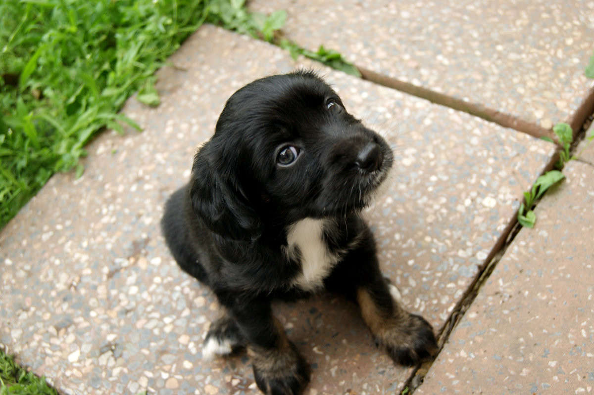 ��������� ��� ����� ����� ����� �� PhotoGeek.ru #�������� ��� #�������� ���������� #�������� ��� #���������������