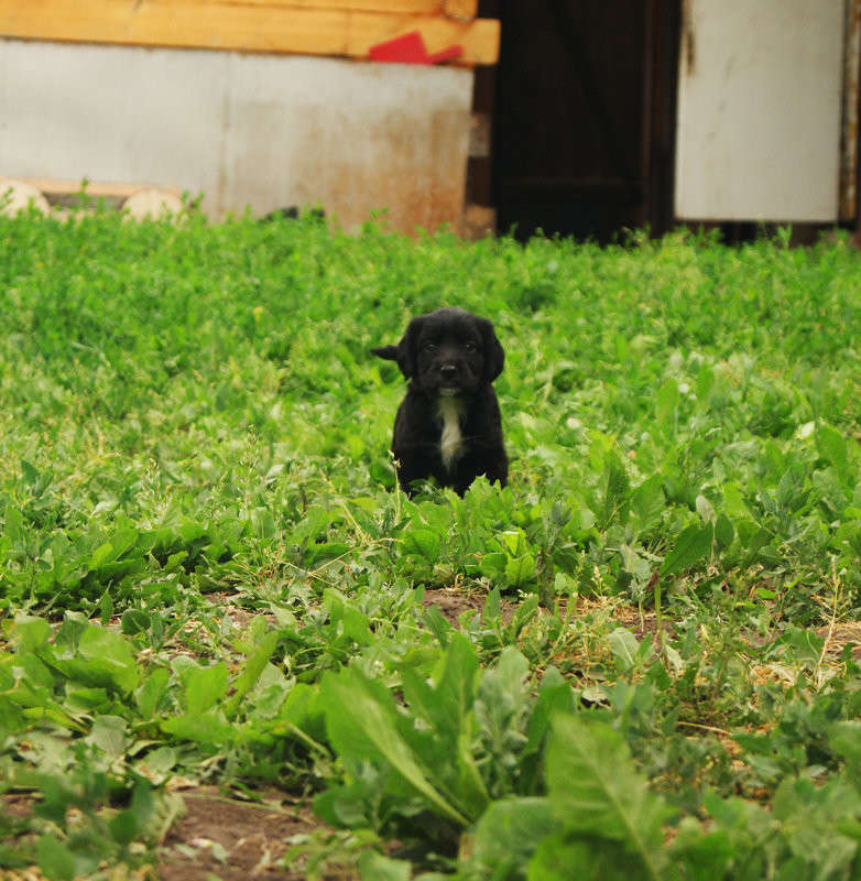 ��������� ��� ����� ����� ����� �� PhotoGeek.ru #�������� ��� #�������� ���������� #�������� ��� #���������������