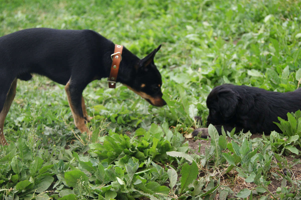 ������� ���� �������� ����� ����� ����� �� PhotoGeek.ru #�������� ��� #�������� ���������� #�������� ��� #���������������