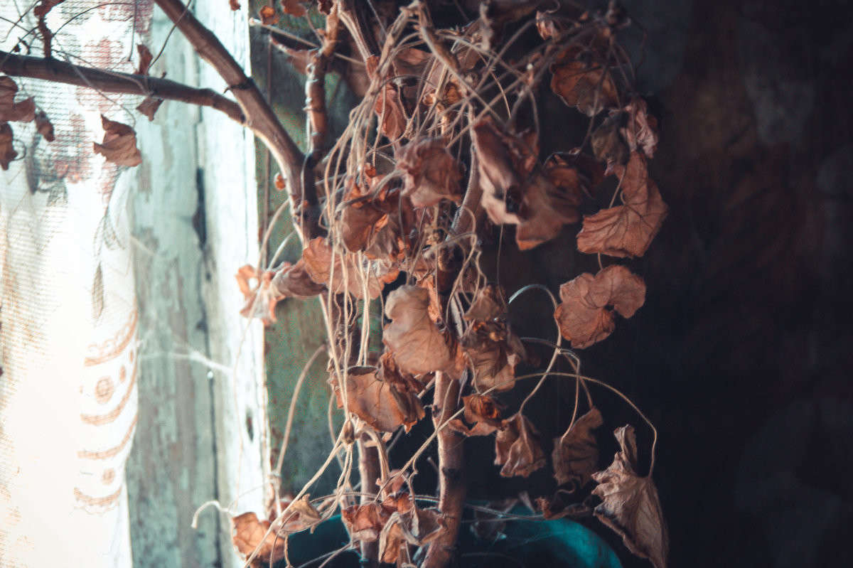 �������� ����� ����� ����� ����� �� PhotoGeek.ru #��������� #������ ��� ������� #�������� ���������� #����� �������������� #���������������