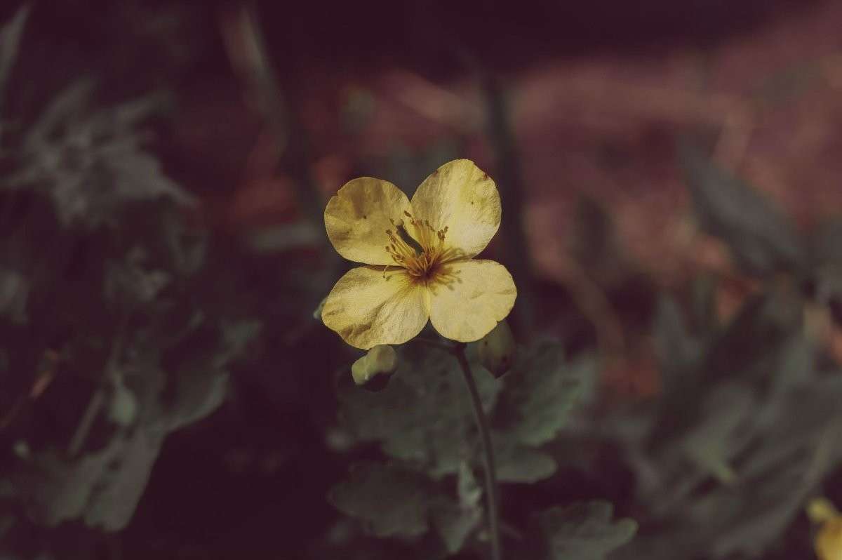 ������-����� ����� ����� ����� �� PhotoGeek.ru #����� #������ ��� ������� #�������� ���������� #����� �������������� #���������������