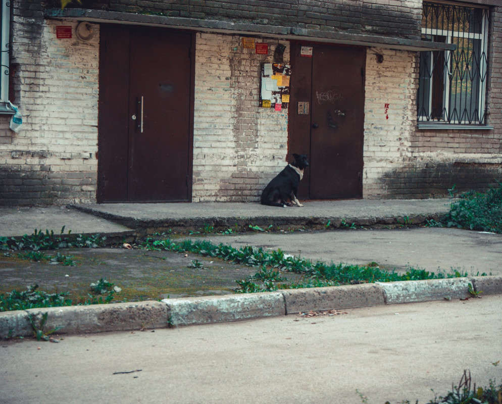 �� ������� ����� ����� ����� �� PhotoGeek.ru #�������� ��� #������ ��� ������� #�������� ���������� #�������� ��� #���������������