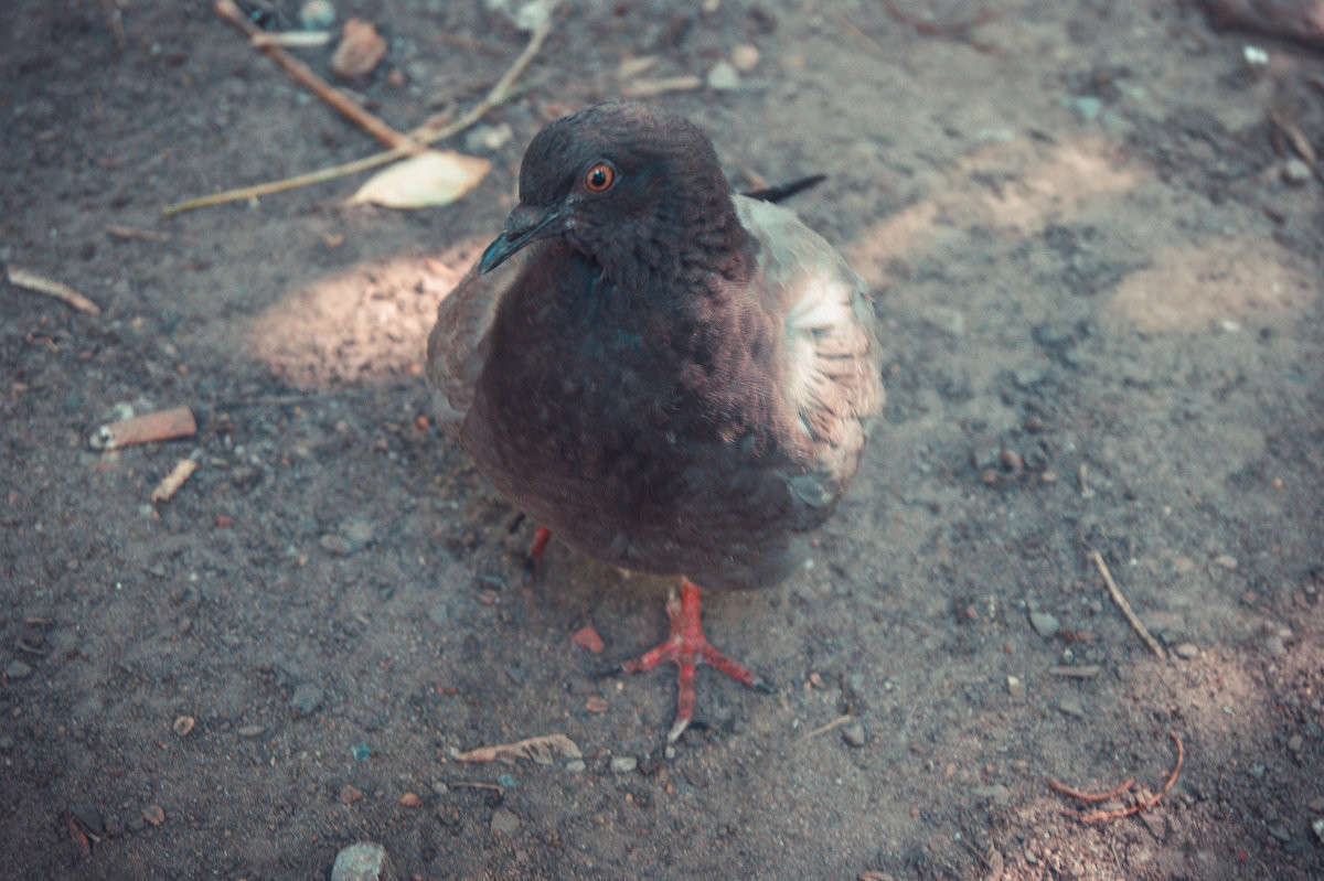 ������ ����� ����� ����� �� PhotoGeek.ru #�������� ��� #������ ��� ������� #�������� ���������� #��������������� #������