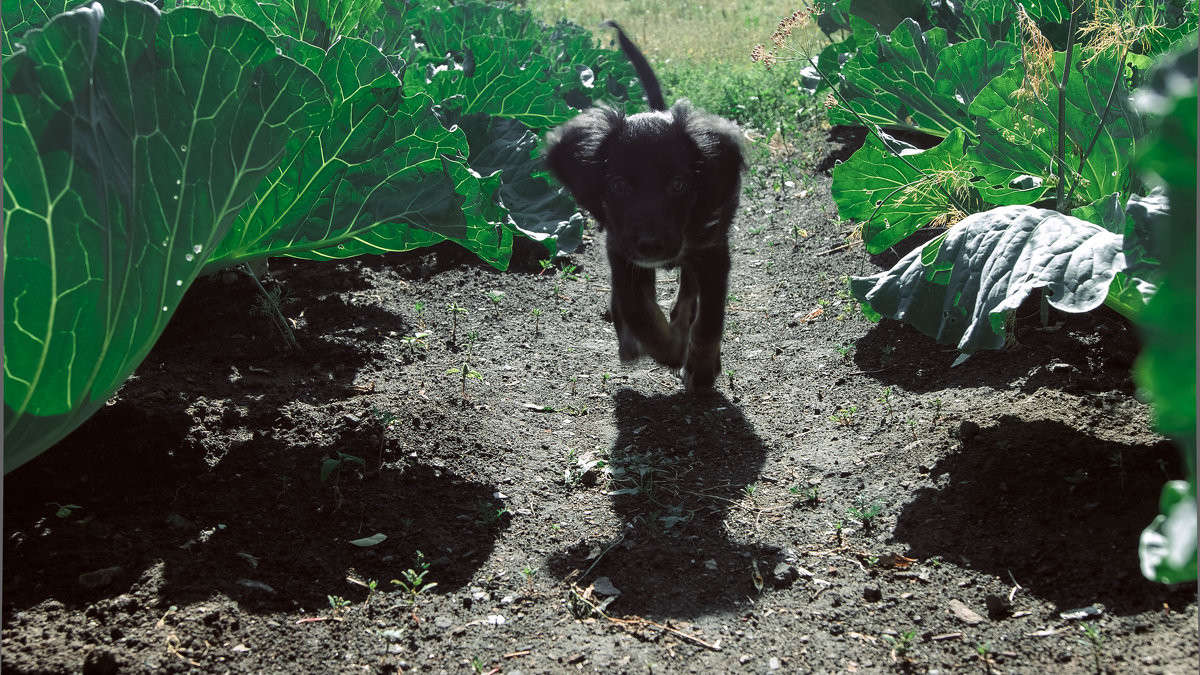 ������� ������ �������. ����� ����� ����� �� PhotoGeek.ru #�������� ��� #������ ��� ������� #�������� ���������� #�������� ��� #��������������� #����� ��������