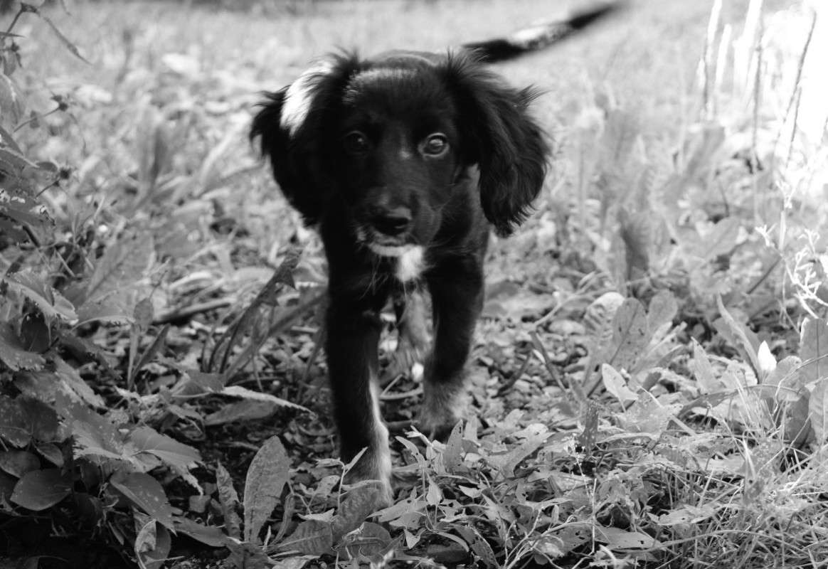 ����� ����� ����� ����� �� PhotoGeek.ru #�������� ��� #�������� ���������� #�������� ��� #���������������