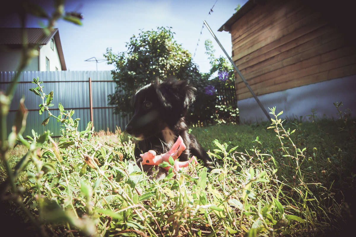 � ���� ����� ����� ����� �� PhotoGeek.ru #�������� ��� #�������� ���������� #�������� ��� #���������������