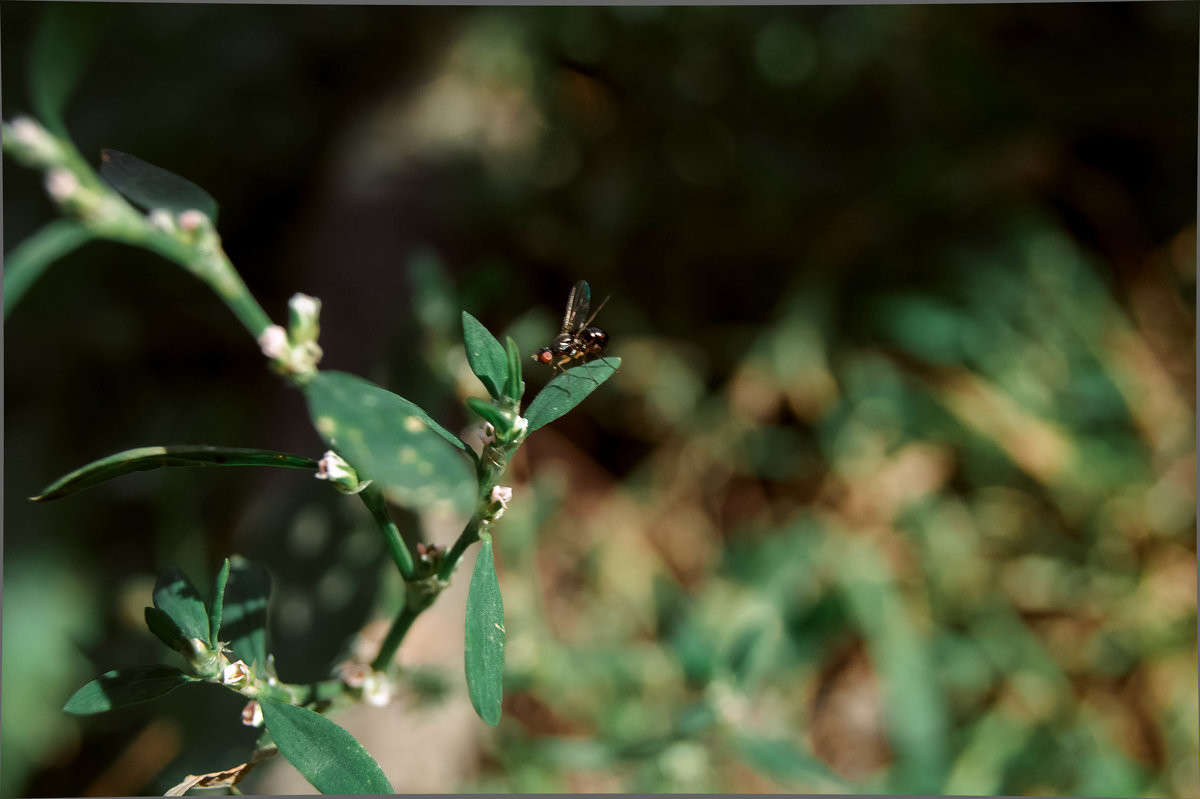 ��������� ����� ����� ����� ����� �� PhotoGeek.ru #����� #�������� ��� #�������� ���������� #����� �������������� #���������