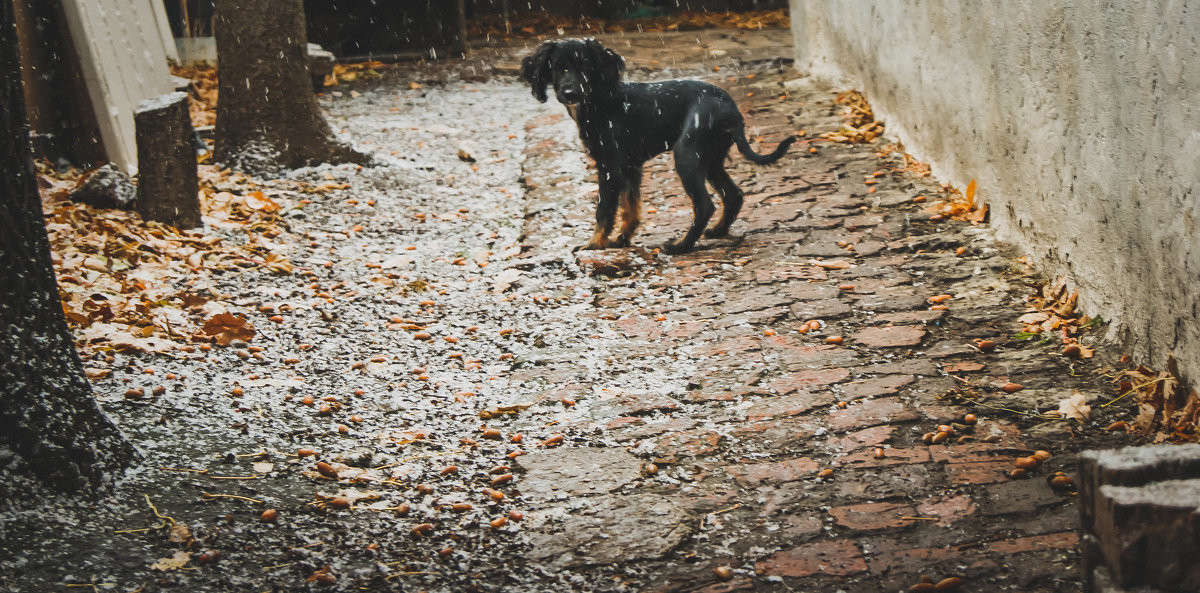 ���� ������ ����� ����� ����� �� PhotoGeek.ru #�������� ��� #�������� ���������� #�������� ��� #���������������