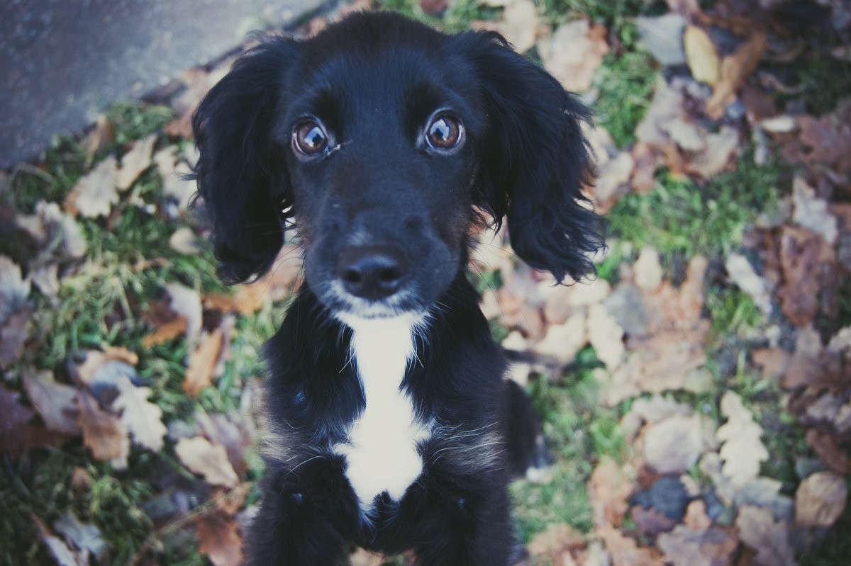 ��������� ����� ����� ����� �� PhotoGeek.ru #�������� ��� #�������� ���������� #�������� ��� #���������������