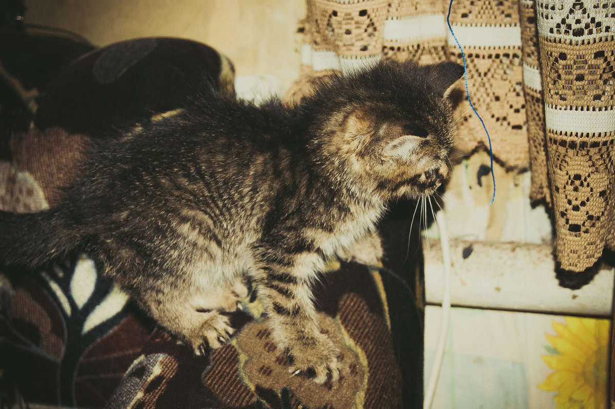 ������ ����� ����� ����� �� PhotoGeek.ru #�������� ��� #�������� ���������� #�������� ��� #���������������