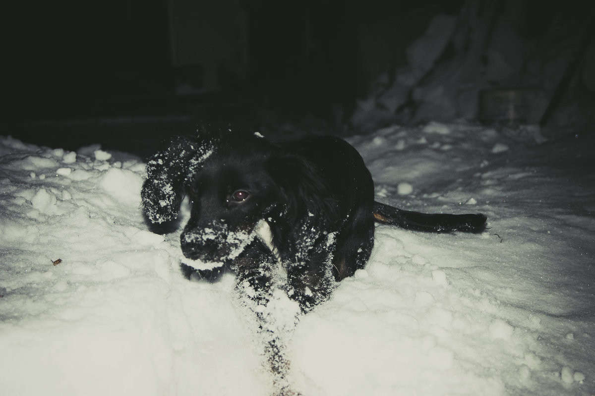 ������� ����� ����� ����� �� PhotoGeek.ru #�������� ��� #�������� ���������� #�������� ��� #���������������