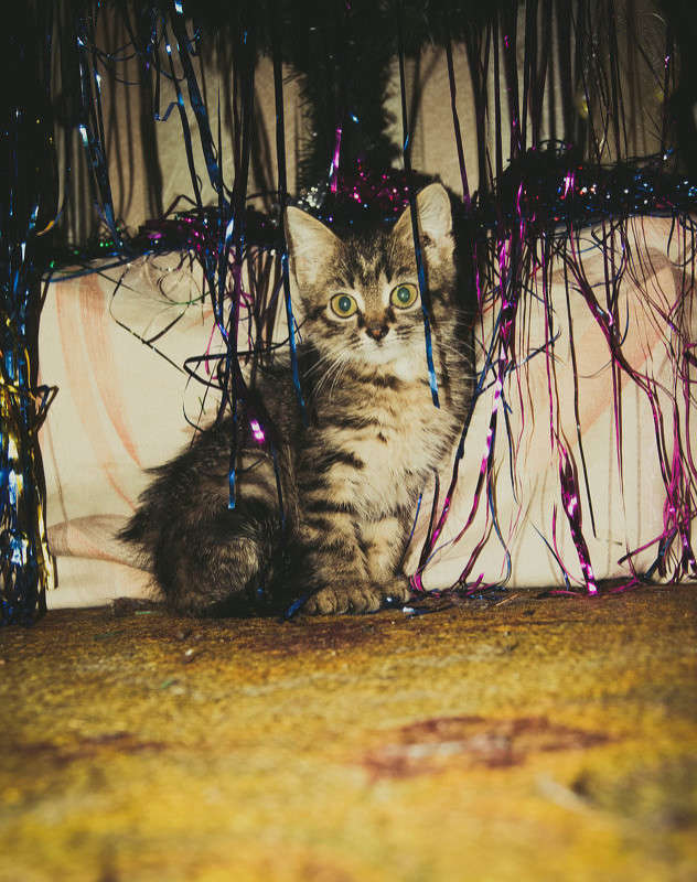 �������� ������ ����� ����� ����� �� PhotoGeek.ru #�������� ��� #�������� ���������� #�������� ��� #���������������