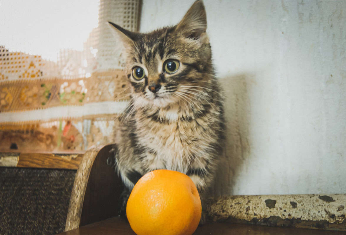 ����� � ����������� ����� ����� ����� �� PhotoGeek.ru #�������� ��� #�������� ���������� #�������� ��� #���������������