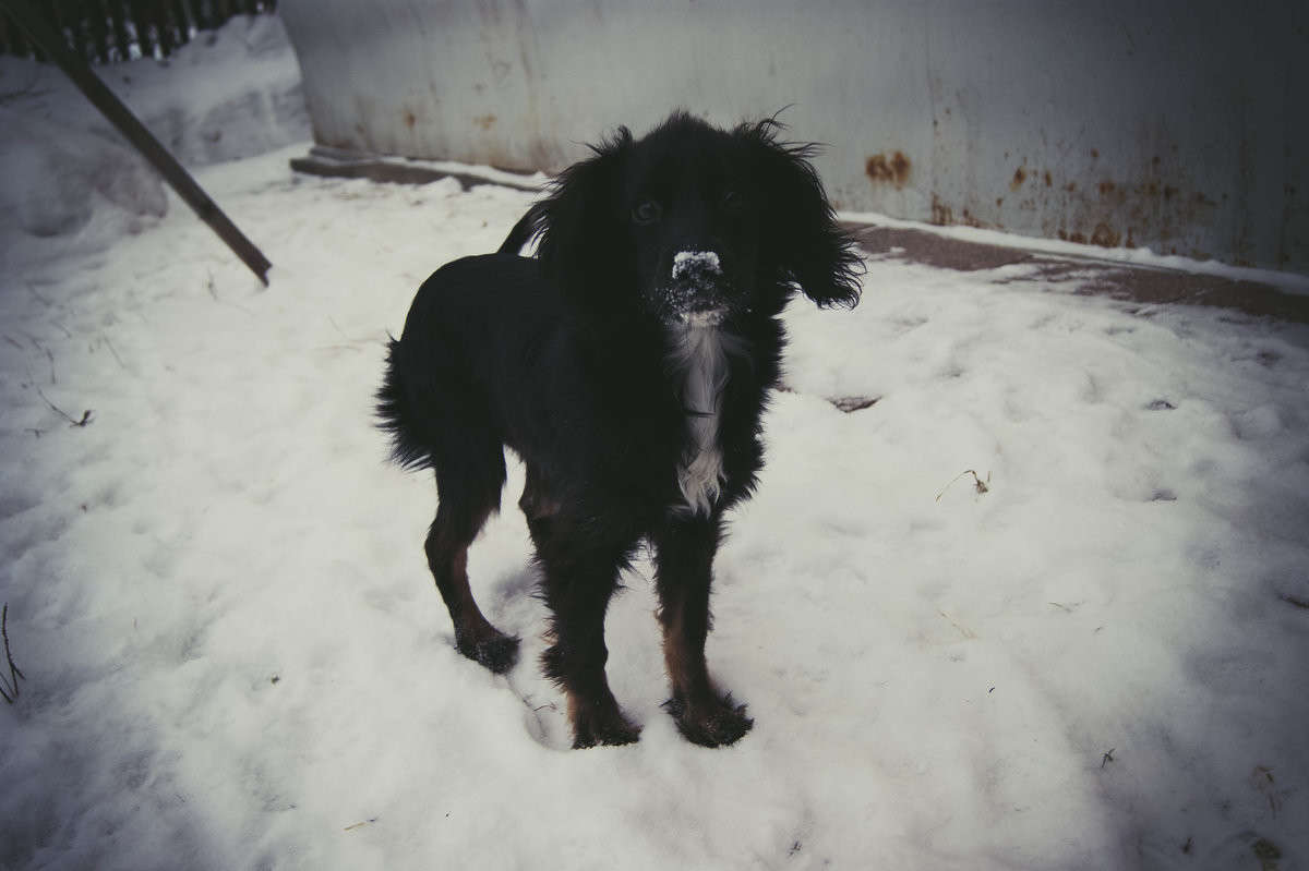 �������� ����� ����� ����� �� PhotoGeek.ru #�������� ��� #�������� ���������� #�������� ��� #���������������