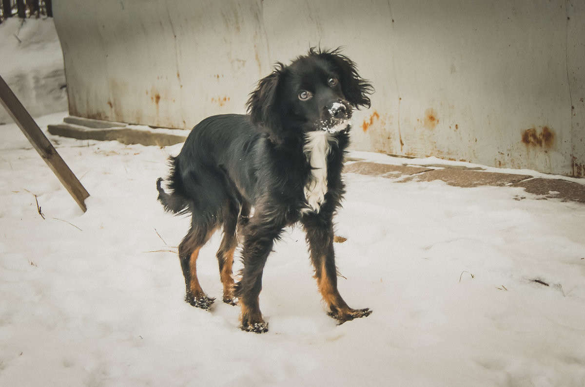 ������ ��� ����� ����� ����� �� PhotoGeek.ru #�������� ��� #�������� ���������� #�������� ��� #���������������