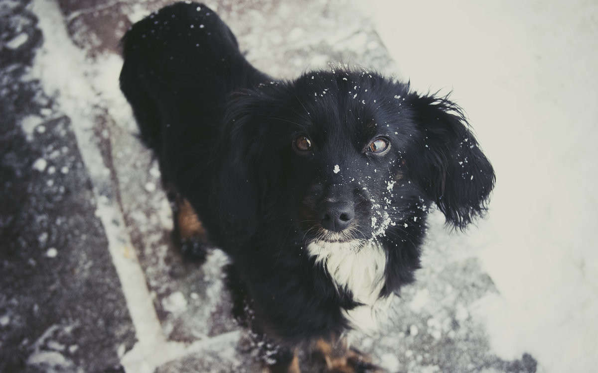 ��������� ������� ������� ����� ����� ����� �� PhotoGeek.ru #�������� ��� #�������� ���������� #�������� ��� #���������������