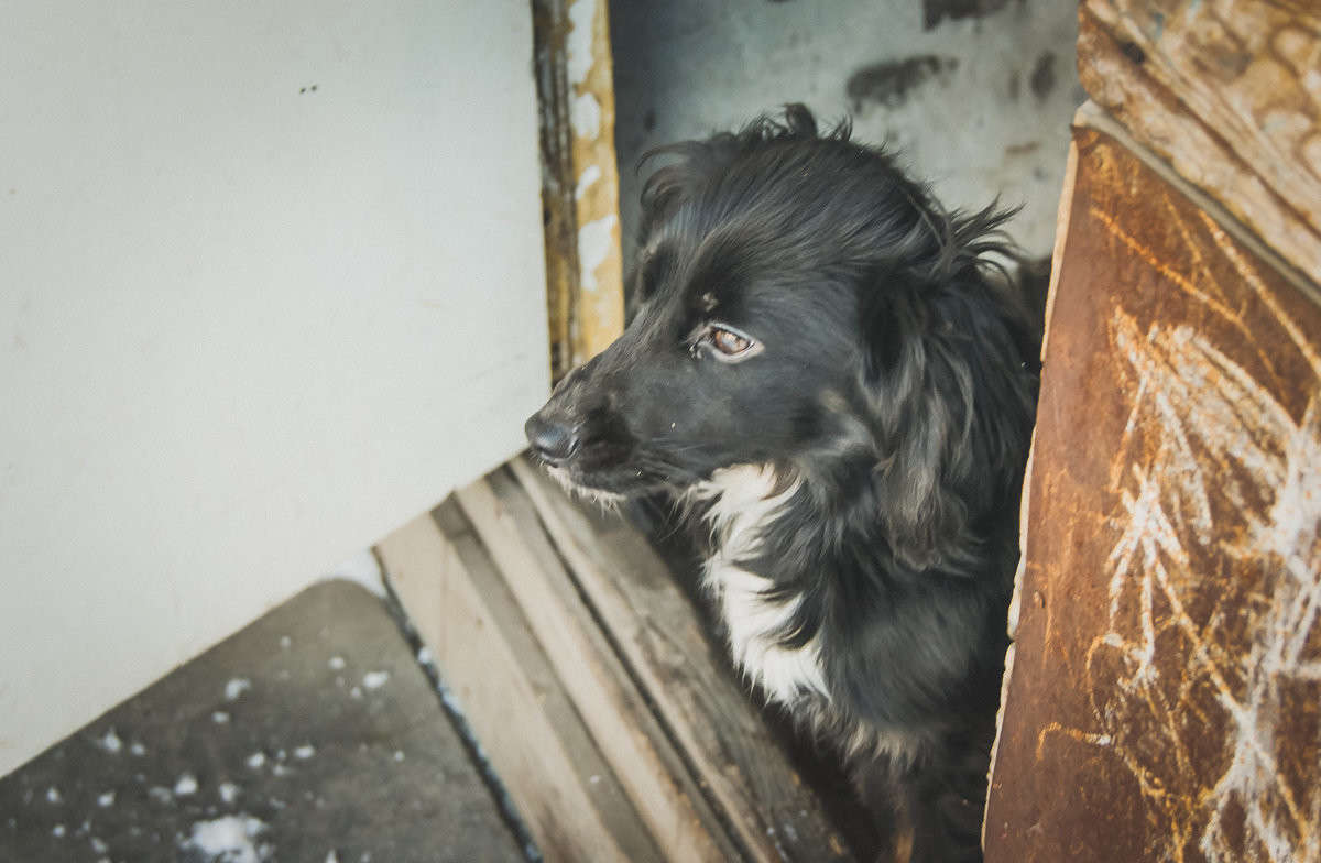 ��� ����-�� ����� ����� ����� �� PhotoGeek.ru #�������� ��� #������ ��� ������� #�������� ���������� #�������� ��� #���������������