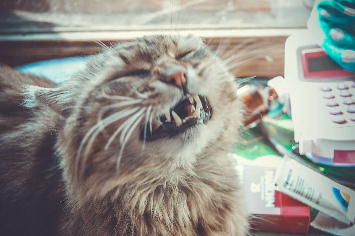 ��� ����� ����� ����� ����� �� PhotoGeek.ru #�������� ��� #�������� ���������� #�������� ��� #���������������