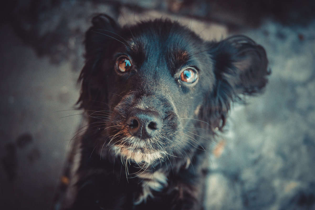 ��������� ����� ����� ����� �� PhotoGeek.ru #�������� ��� #�������� ���������� #�������� ��� #���������������