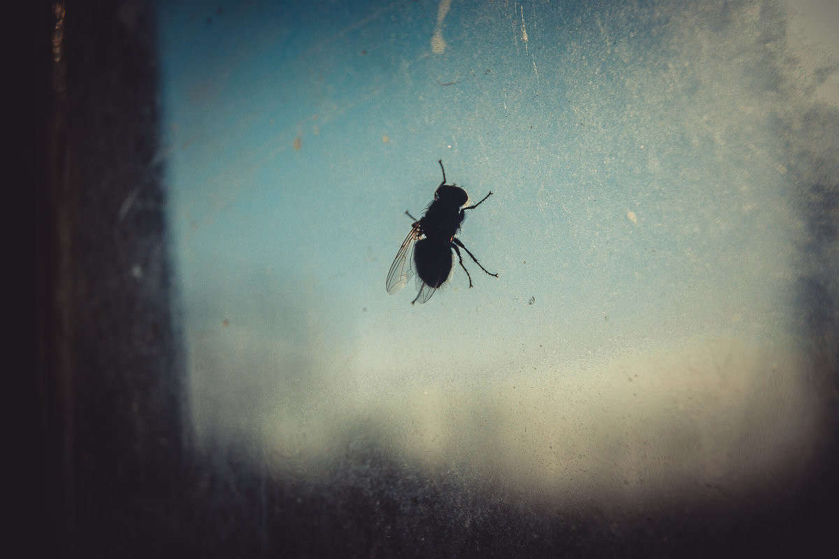 ���� �� ���� ����� ����� ����� �� PhotoGeek.ru #����� #�������� ��� #�������� ���������� #����� ��� ��� ��������� #��������� #���������������